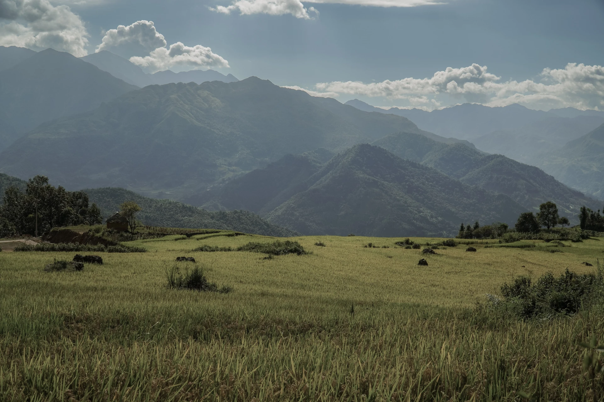 Rice fields and village life across a Pù Luông valley