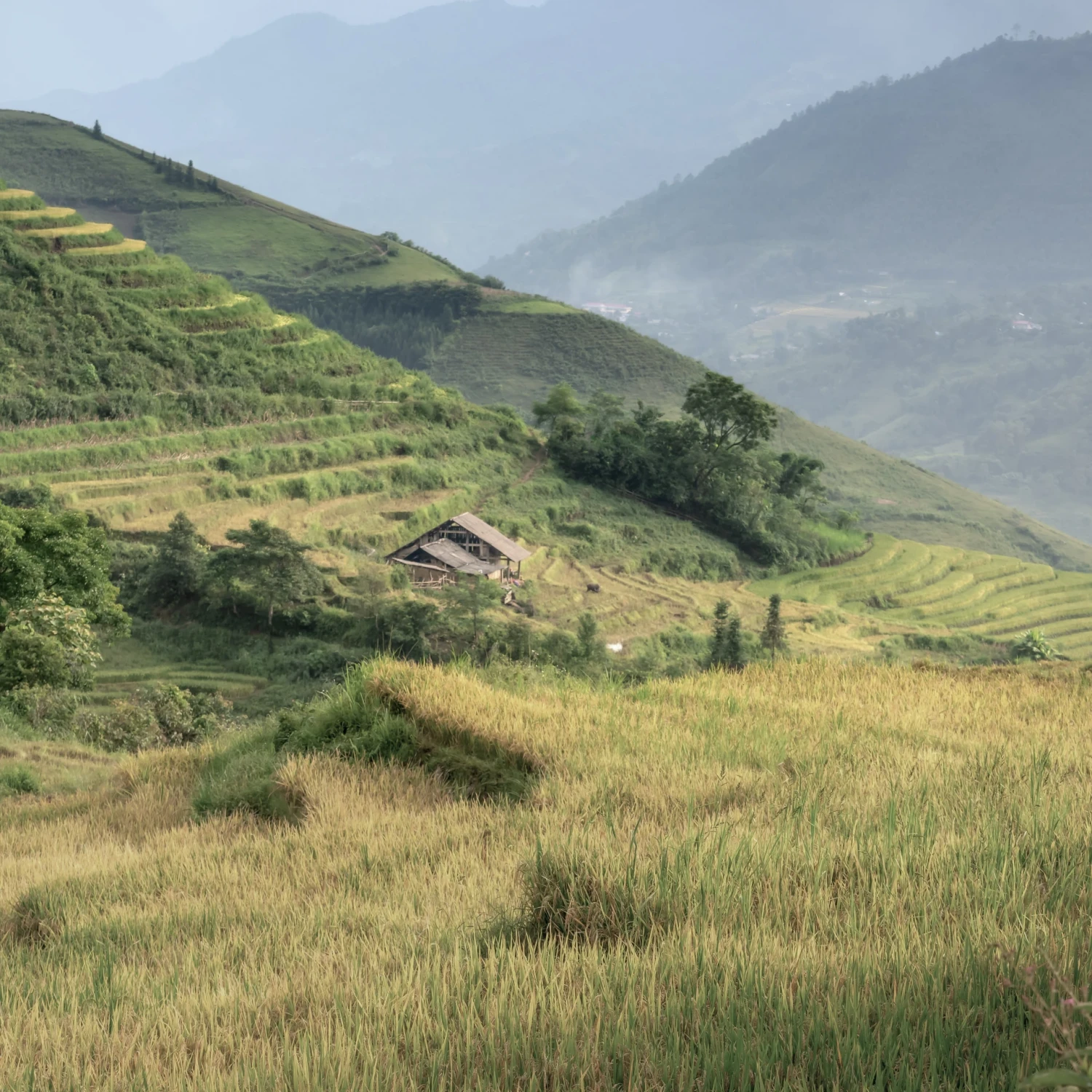 A quiet road passes homes and fields in Pù Luông