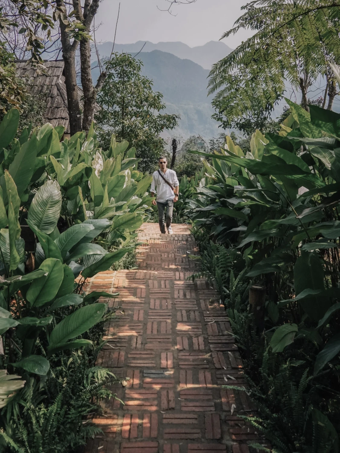 A person walks along a narrow path in Pù Luông during the early evening.
