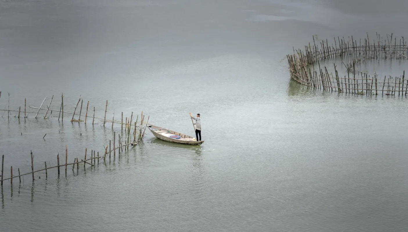 Life Along the Shore