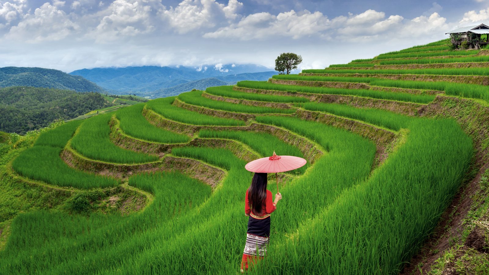 CAO BANG