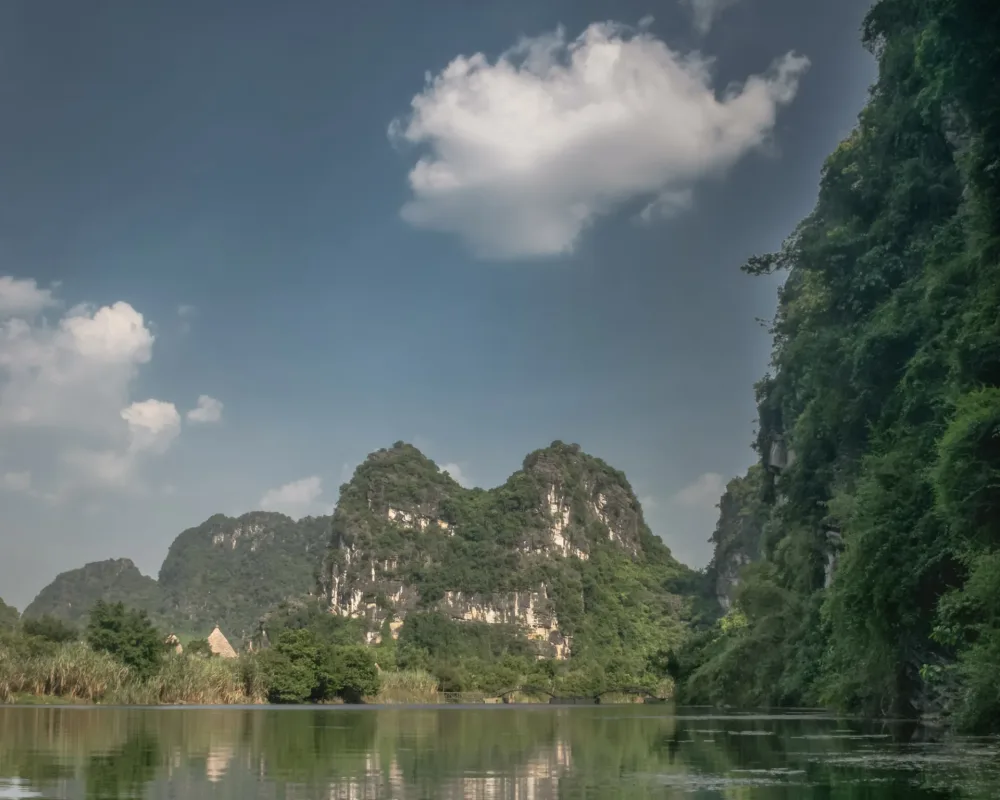 The Open Wetland