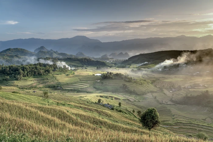 Pù luông