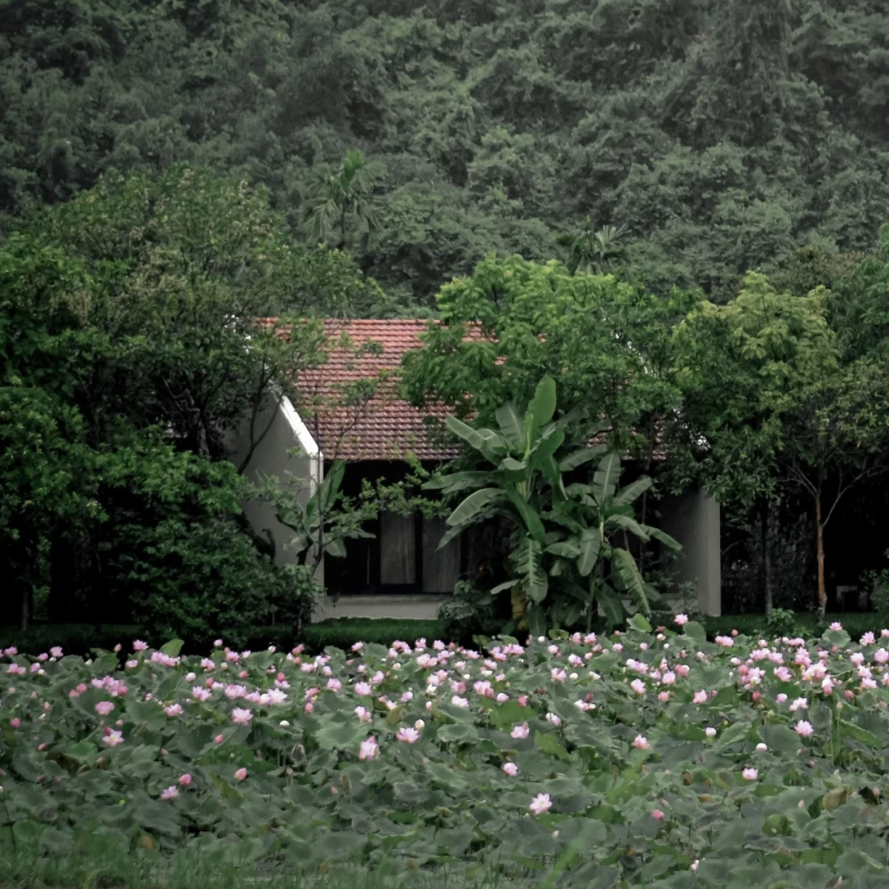 A Place to Return To