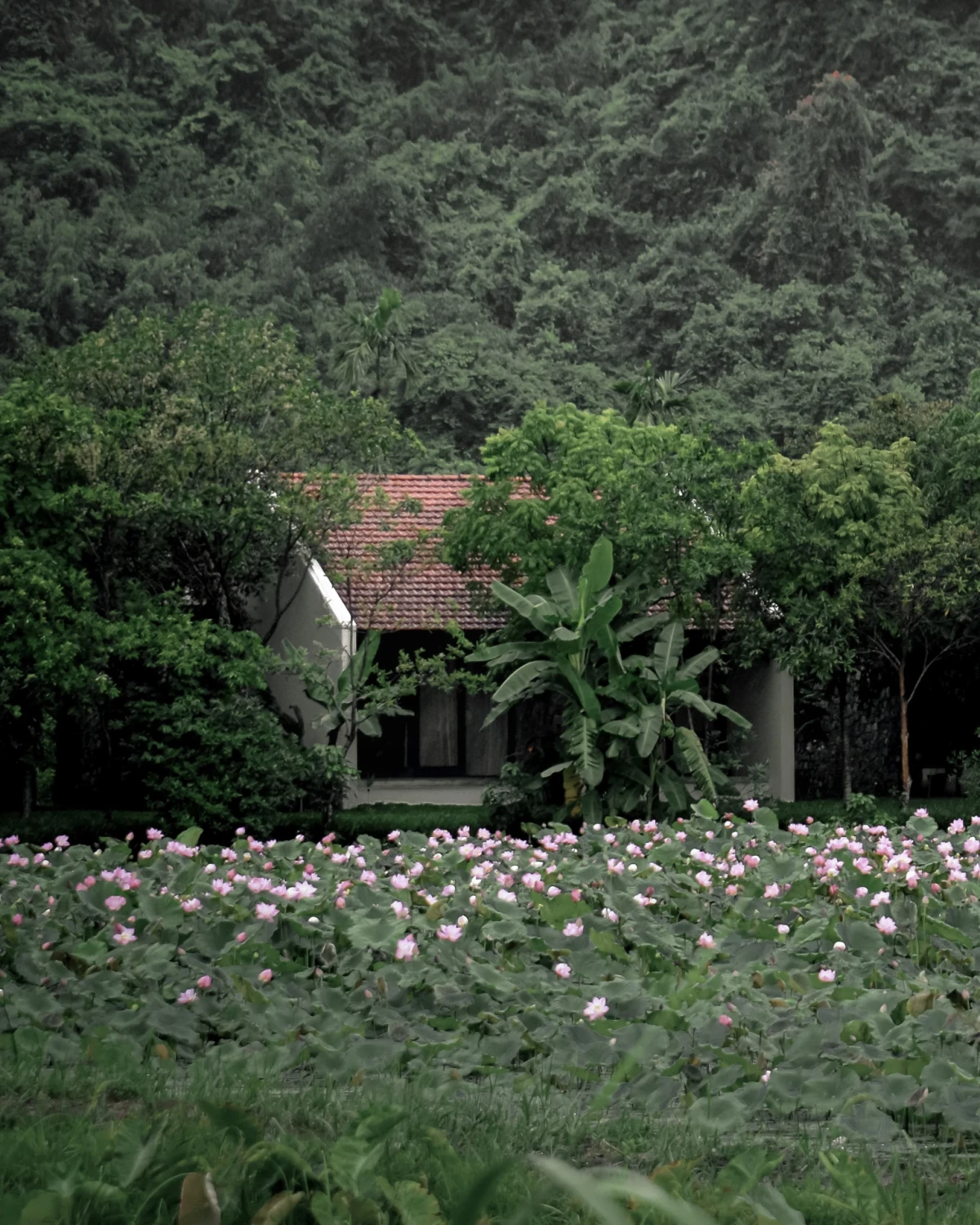 A Place to Return To