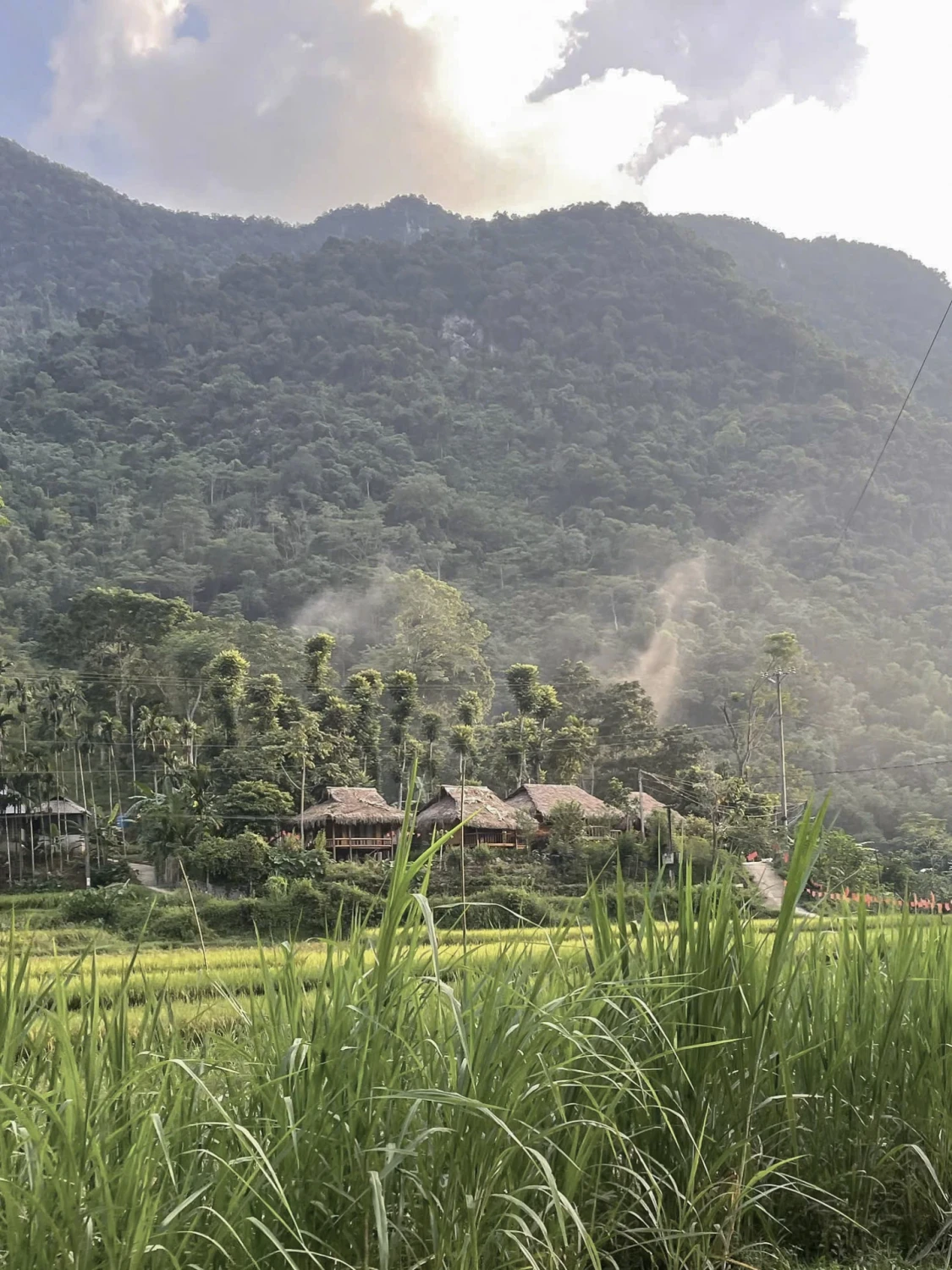 Rice fields and village houses beneath forested hills in Pu Luong