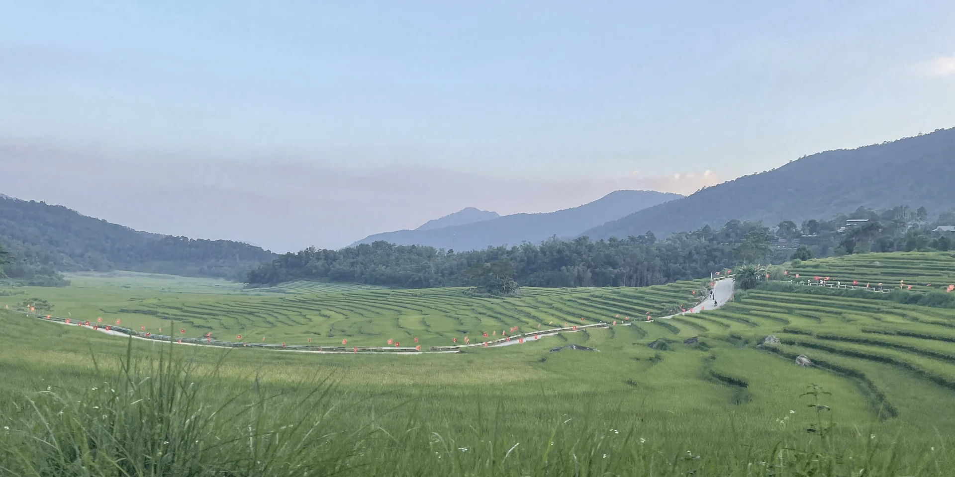 Terraced rice fields across the Pu Luong valley