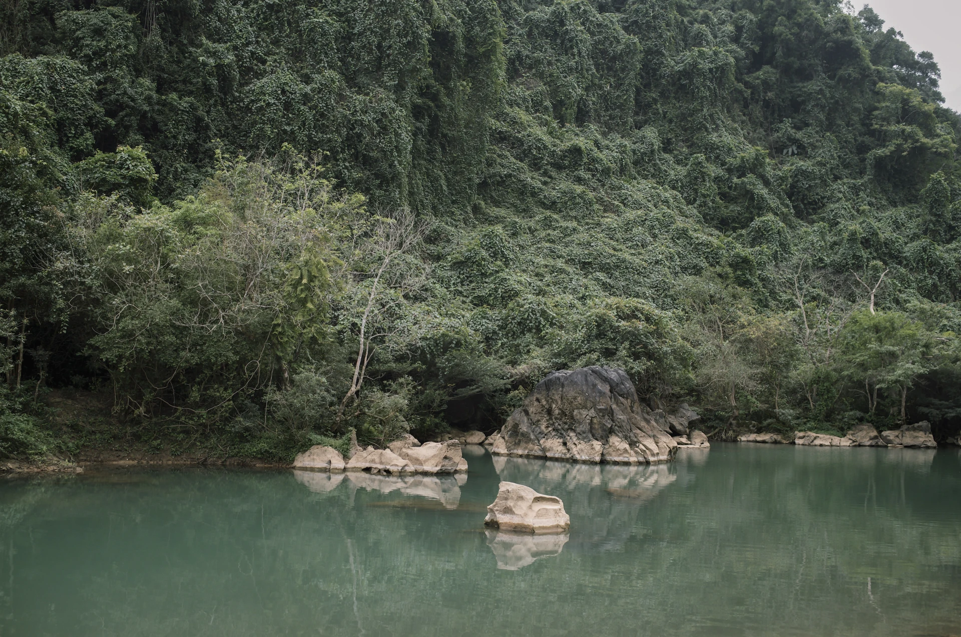 A quiet river edged by forest and rocks