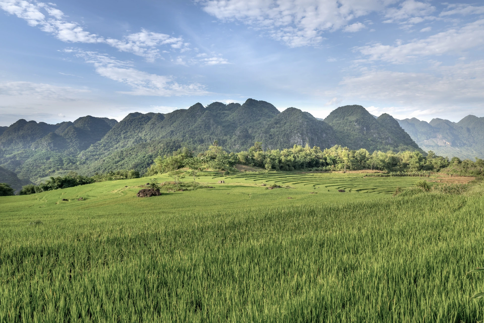 Valley landscape in Pu Luong